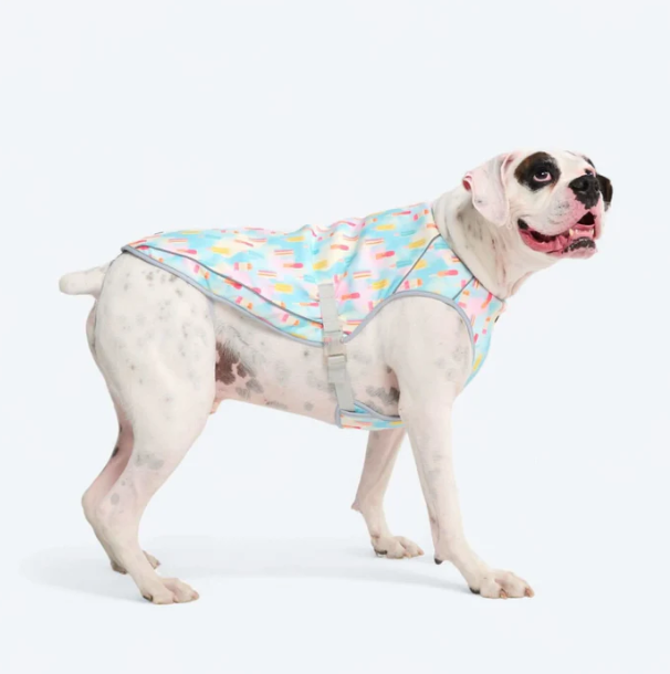 Chilltech™ Dog Cooling Vests Bulldogs