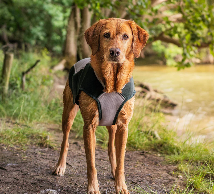 Dog Cooling Ruff and Tumble Coat