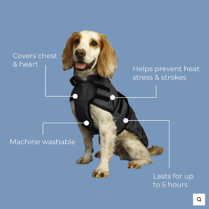Pawdaw of London Luxury Dog Cooling Coat