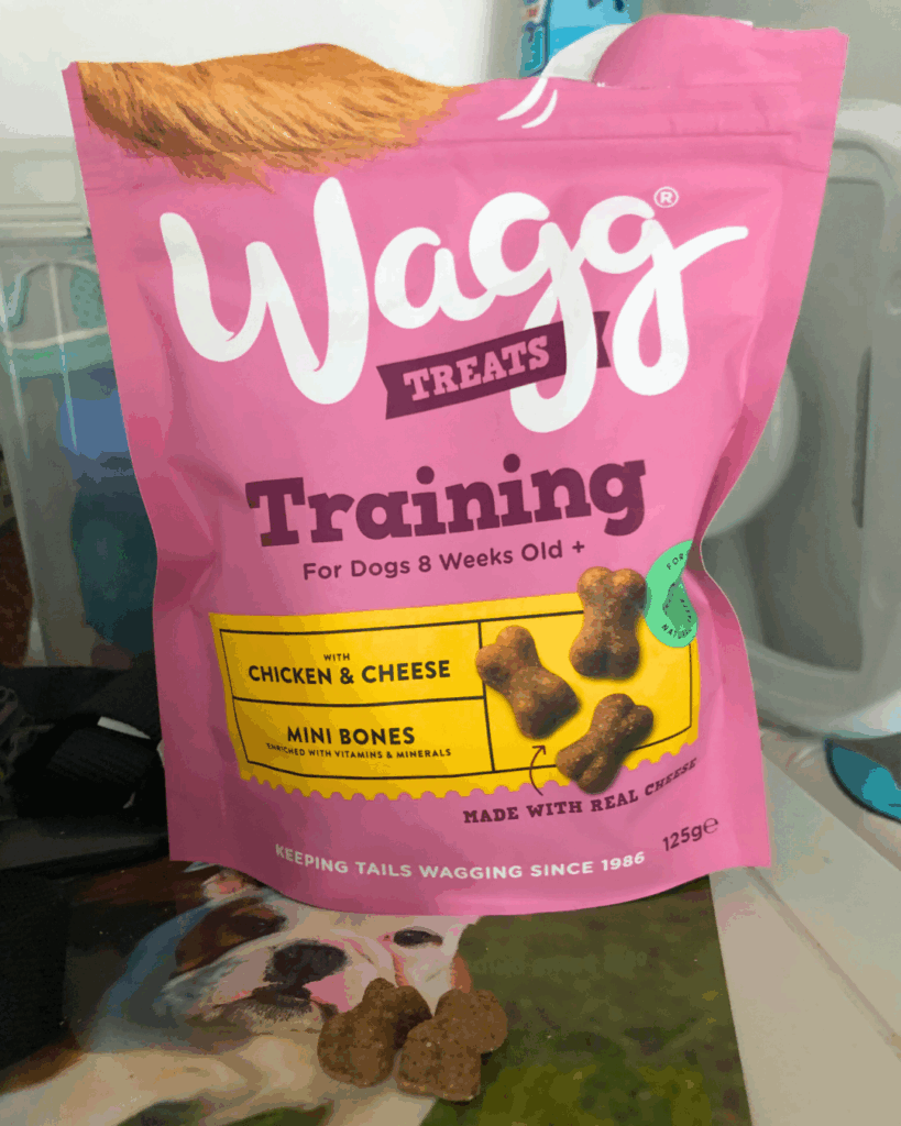 Wagg Treats Training Bulldogs