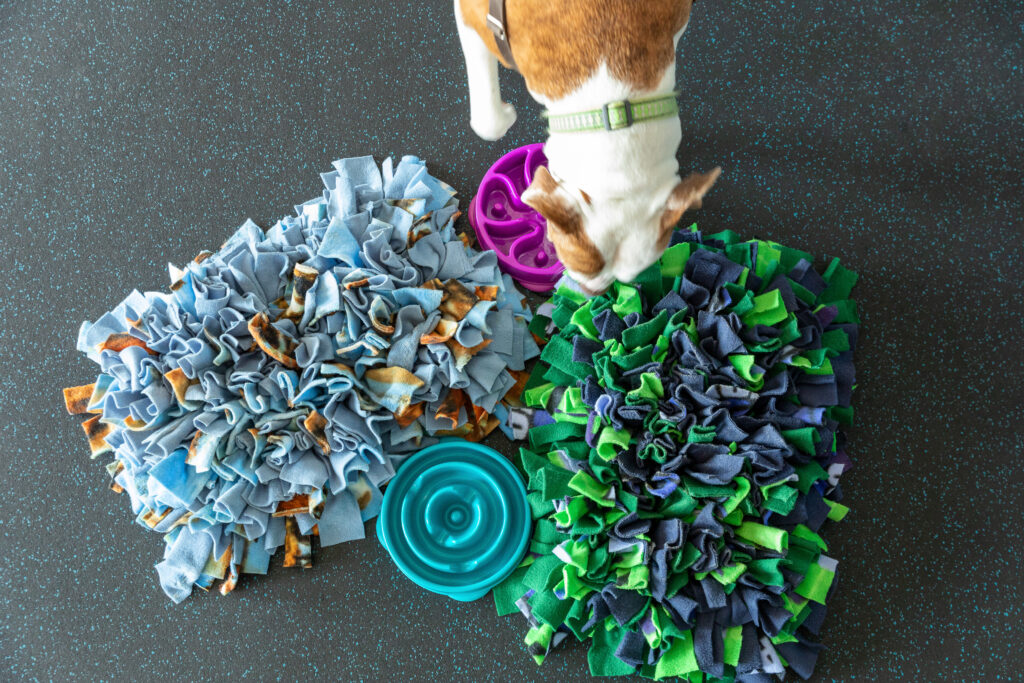 Teach Your Bulldog to Use a Snuffle Mat