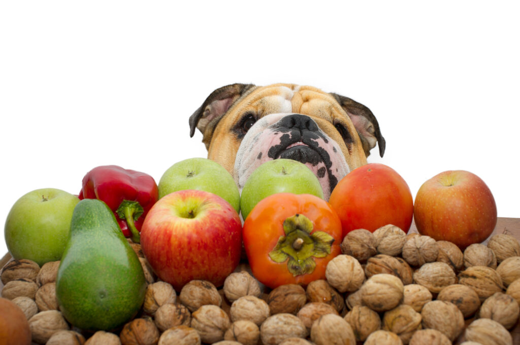 Bulldog-Friendly Antinflammatory Diet
