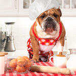 The Best Bulldog-Friendly Anti-Inflammatory Diet