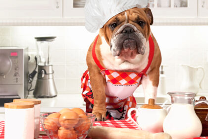 The Best Bulldog-Friendly Anti-Inflammatory Diet