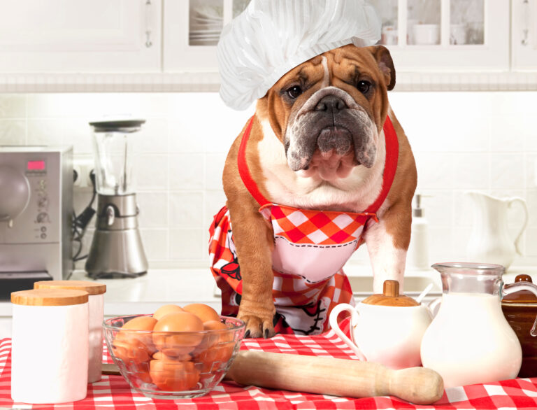 The Best Bulldog-Friendly Anti-Inflammatory Diet